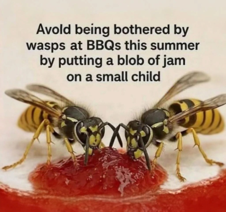 58-70c9cb61-4711-4c88-99b5-70d2197787ab.png