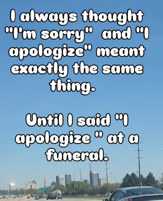 33-79481ada-5316-4ef2-add3-2b986651e09e.png