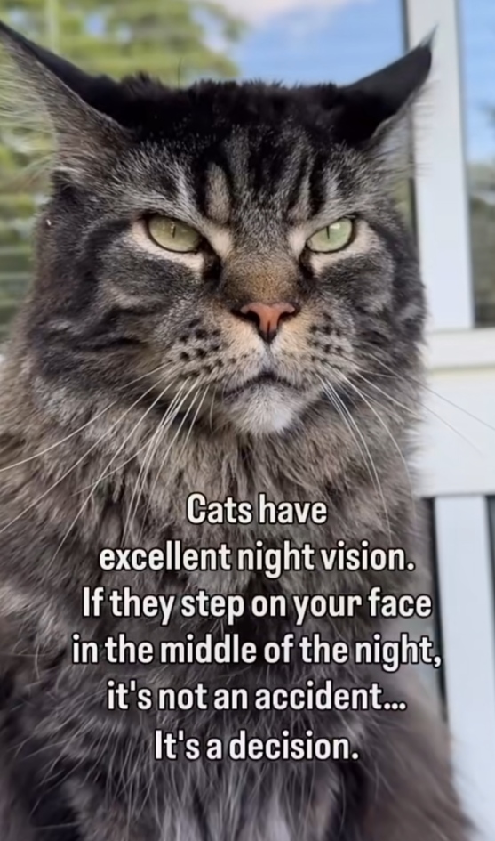 24-7fb14530-0030-4142-b206-d1c97fb7b6fc.png
