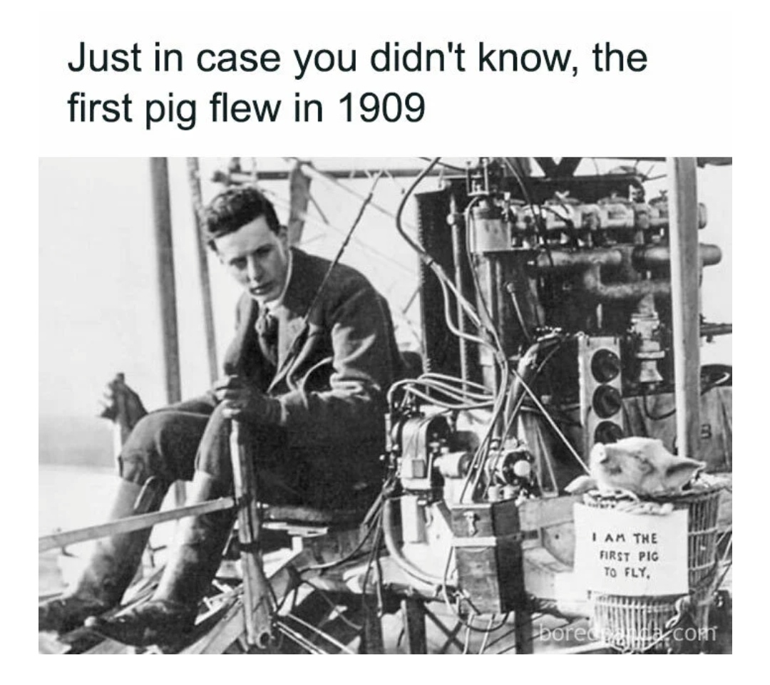 1-b6da87ab-b5e5-430c-aa0b-6639d5ec7675.jpg